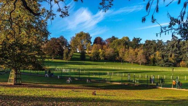 Parc de la Verrerie and its animals, Le Creusot.