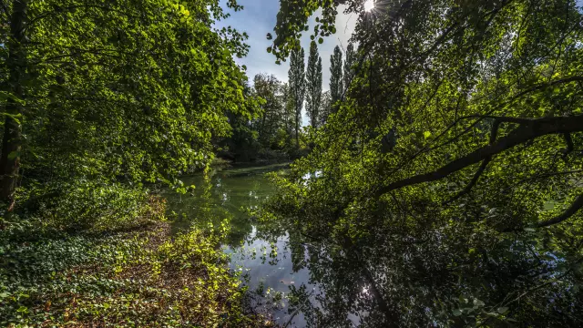 Pond in the Parc de la Verrerie, Le Creusot.