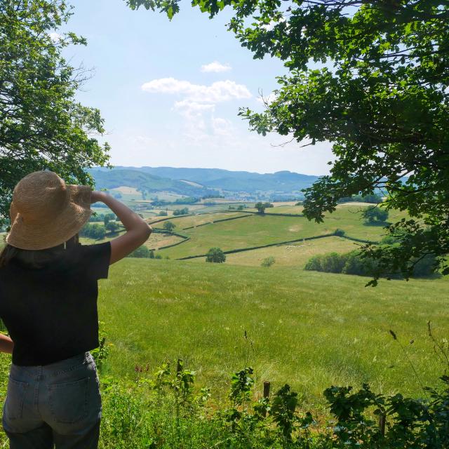 Paysage de bocage à Marmagne.