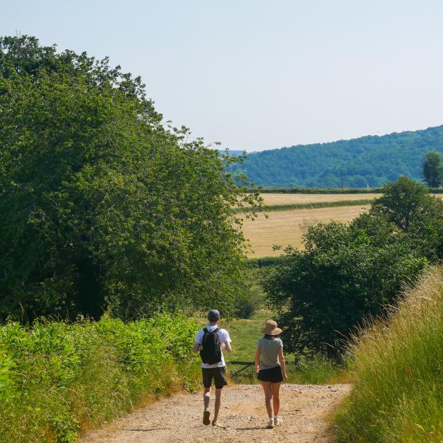 En randonnée du côté de Montcenis.