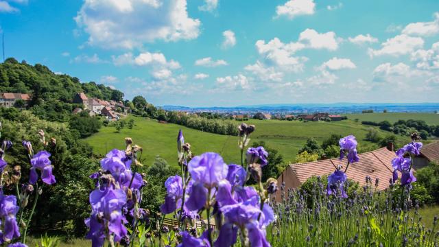 Paysage à Montcenis.