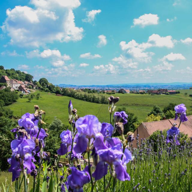 Paysage à Montcenis.