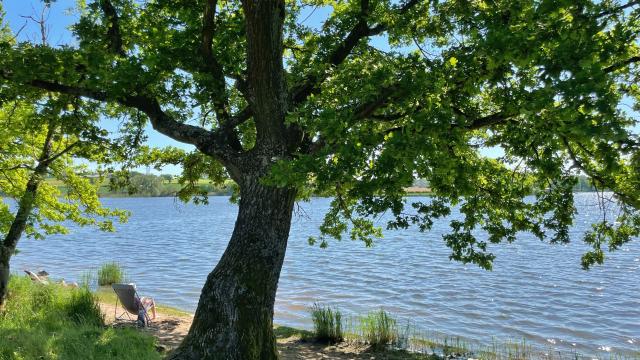 Etang Berthaud