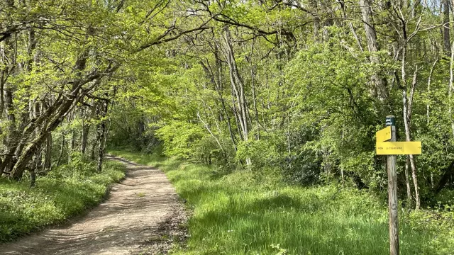 Balade Verte Montcenis