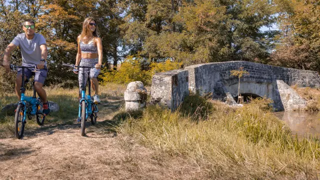 Le long du canal du Centre, à vélo