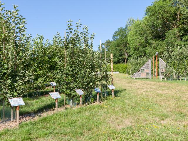 Conservatory orchard at Parc Saint-Louis, Montceau-les-Mines