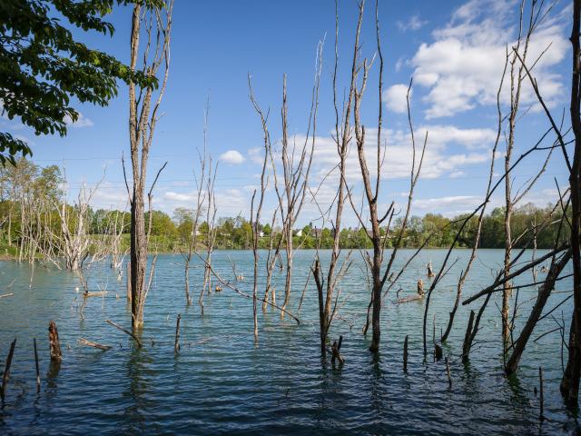 Parc Saint-Louis, Montceau-les-Mines