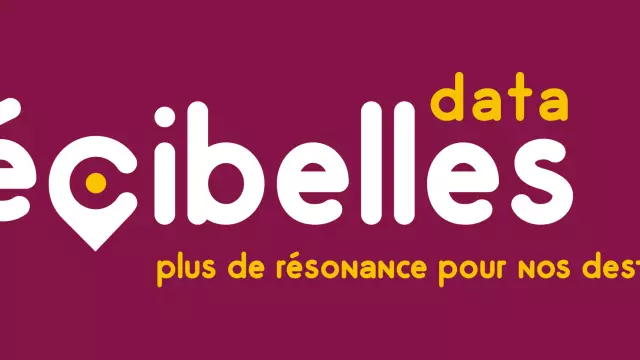 Décibelles Data logo.