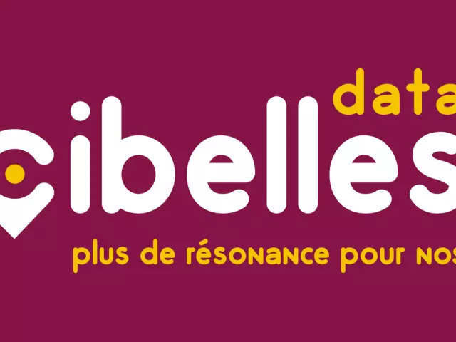 Logo Décibelles Data.