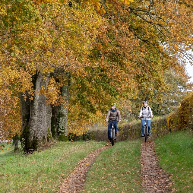 Cyclotourisme à l'automne.